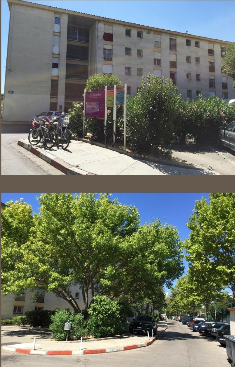Studio 50M Tram Parking Gratuit 13Min Gare Montpellier Bagian luar foto